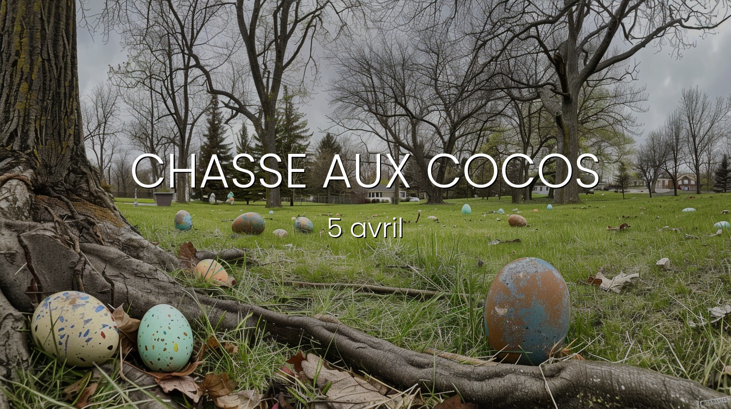 chasse_aux_cocos_v4 chasse aux cocos